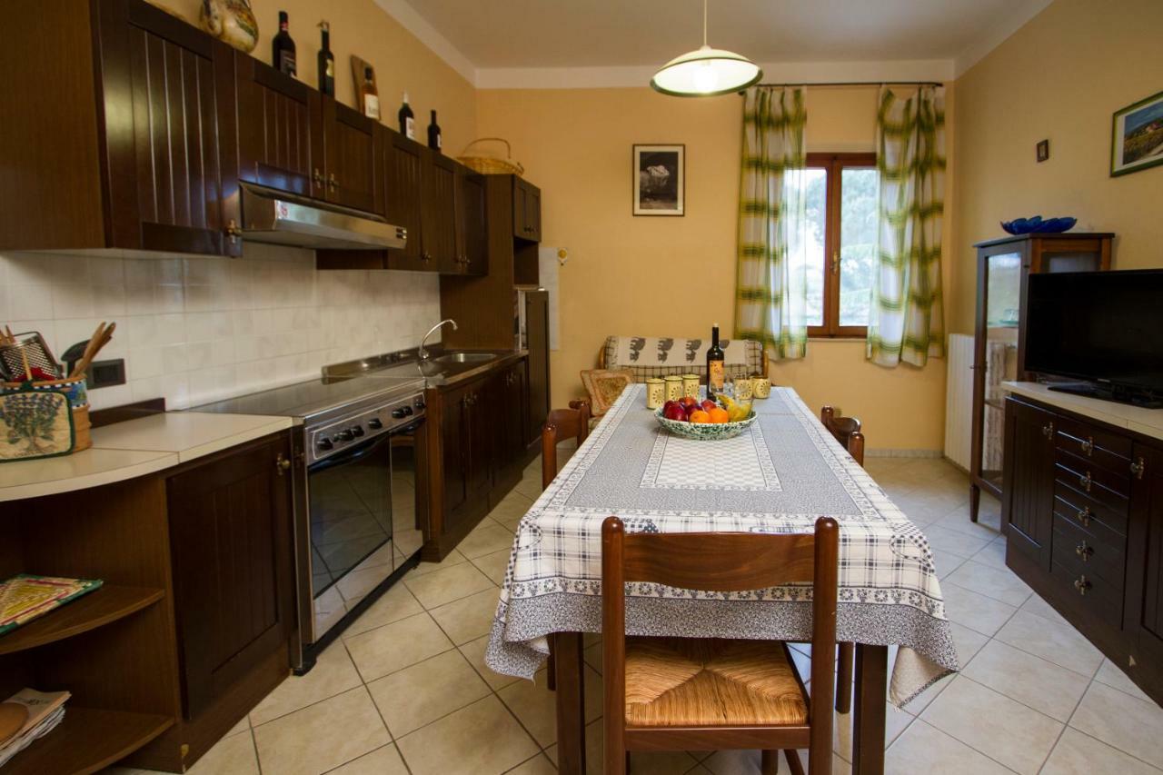 Casa Elena Leilighet Cortona Eksteriør bilde